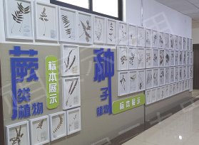 贵州师范大学生命科学院生态展示长廊