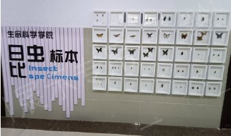贵州师范大学生命科学院生态展示长廊 照片 2